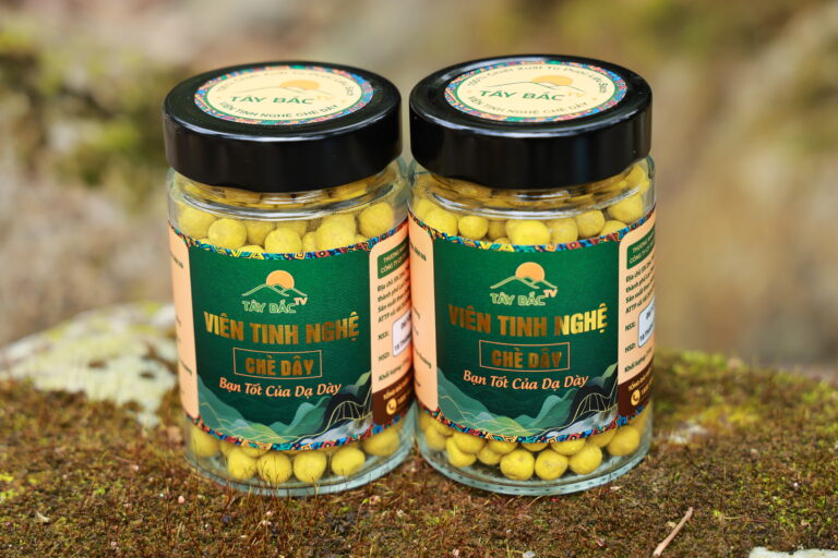 TB006 - Viên Tinh Nghệ Chè Dây 210g