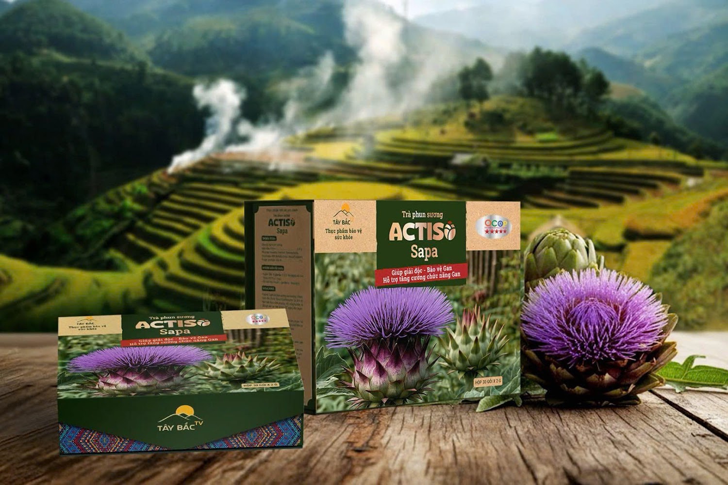 TB011 - Trà Phun Sương Actiso Sapa